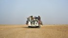 Au Niger, 